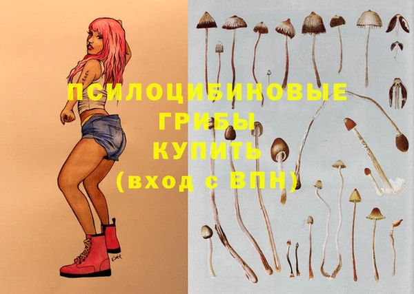 МДПВ Нефтекумск