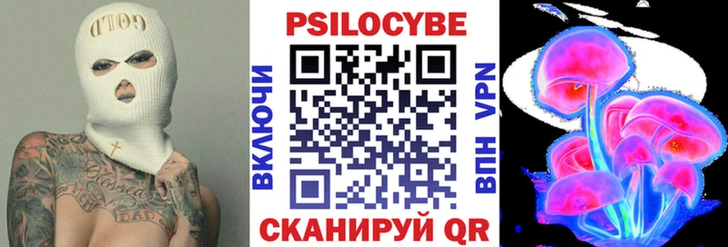 Псилоцибиновые грибы мухоморы  кракен зеркало  Алагир  купить закладку 